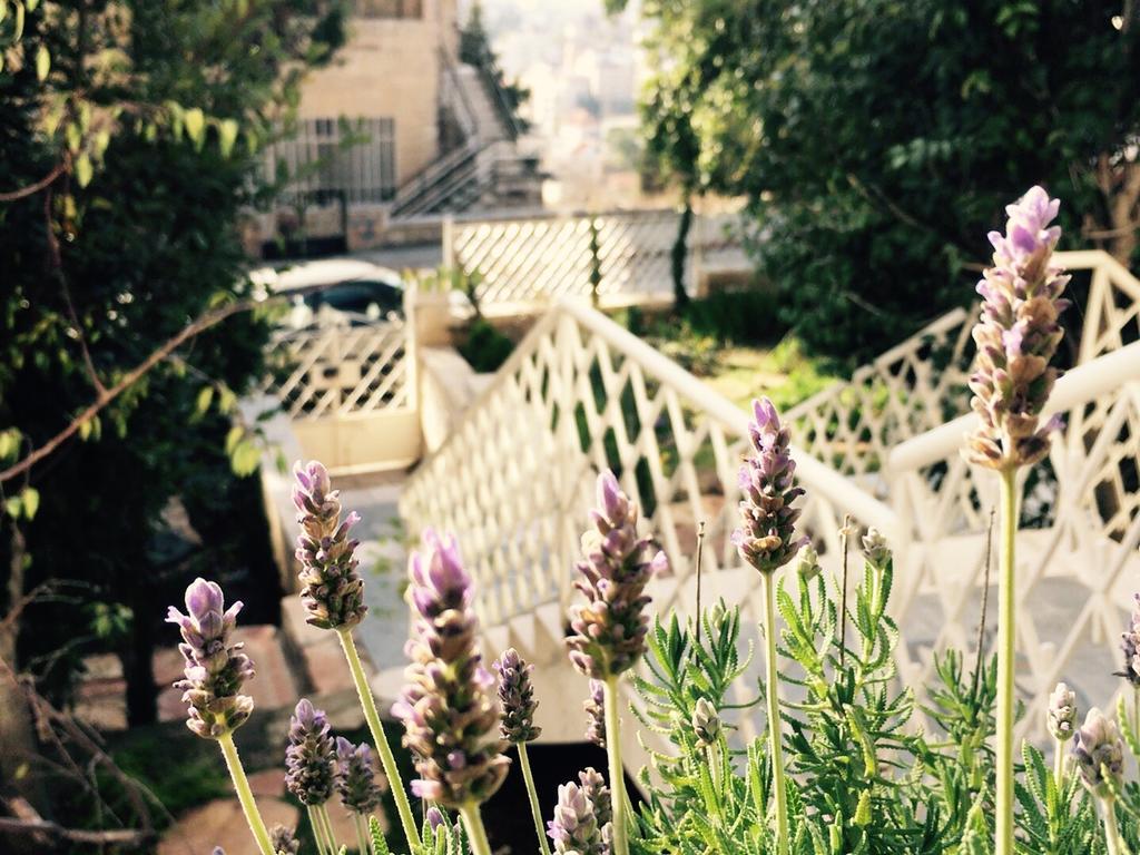 Lavender Boutique Hotel Ramallah Zewnętrze zdjęcie